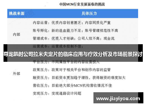 尊龙凯时公司拉米夫定片的临床应用与疗效分析及市场前景探讨
