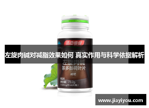 左旋肉碱对减脂效果如何 真实作用与科学依据解析