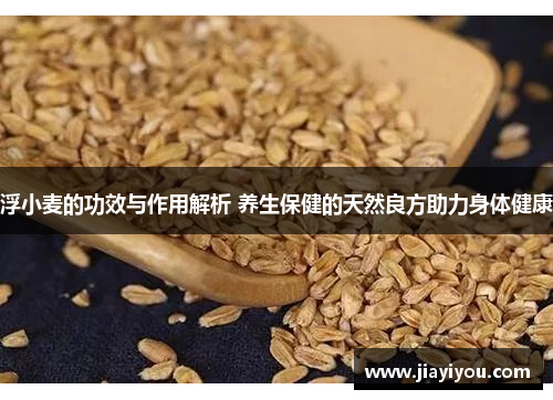 浮小麦的功效与作用解析 养生保健的天然良方助力身体健康