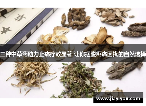 三种中草药助力止痛疗效显著 让你摆脱疼痛困扰的自然选择