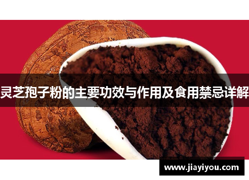 灵芝孢子粉的主要功效与作用及食用禁忌详解